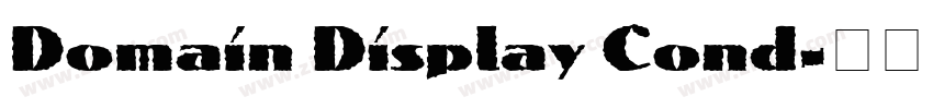 Domain Display Cond字体转换